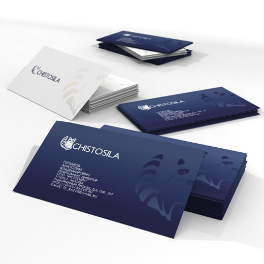 Разработка логотипа и дизайна визитных карточек компании «Чистосила»