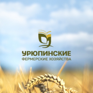 Урюпинские фермерские хозяйства: разработка визуальных носителей бренда (дизайн логотипа, фирменный стиль, презентация, оформление бизнес-плана).