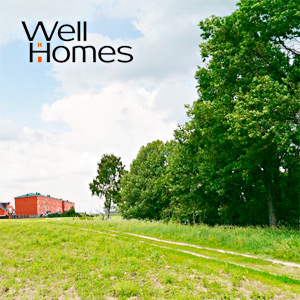 Разработка логотипа строительной компании Well Homes и создание веб-сайта жилого комплекса «Софьино».