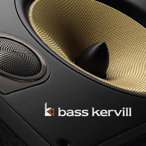 Разработка названия (нейминг) и логотипа для интернет-магазина аудио- и видеотехники Bass kervill.