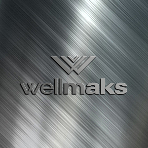 Щербинский лифтостроительный завод: разработка торговой марки лифтов бизнес-класса WellMaks. 