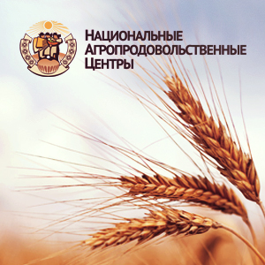 Разработка логотипа и сайта для проекта «Национальные Агропродовольственные Центры».