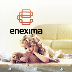 Разработка названия (нейминг) и создание логотипа для интернет-магазина тёплых полов Enexima.