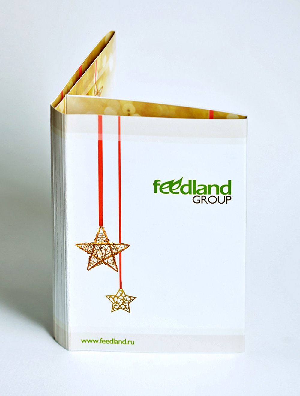 Разработка визуального образа компании Feedland Group